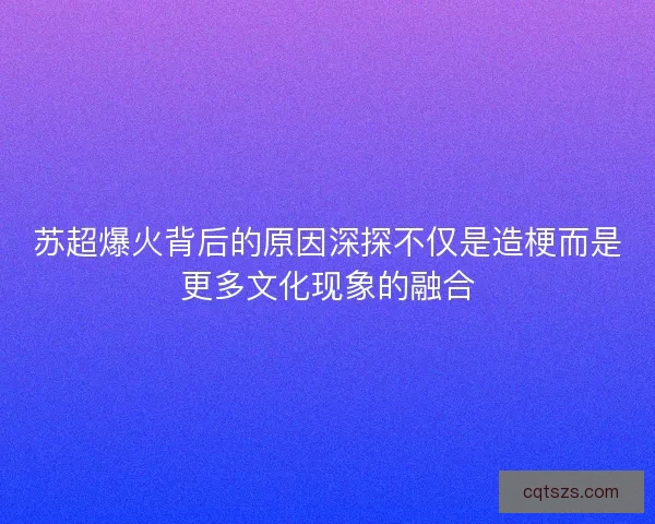 苏超爆火背后的原因深探不仅是造梗而是更多文化现象的融合