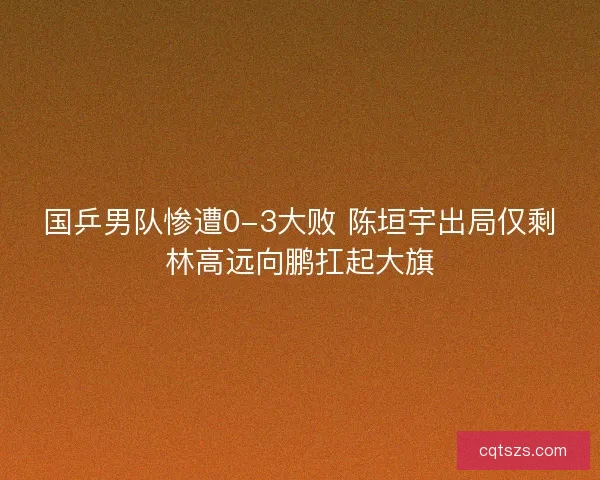 国乒男队惨遭0-3大败 陈垣宇出局仅剩林高远向鹏扛起大旗
