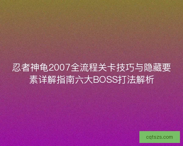 忍者神龟2007全流程关卡技巧与隐藏要素详解指南六大BOSS打法解析