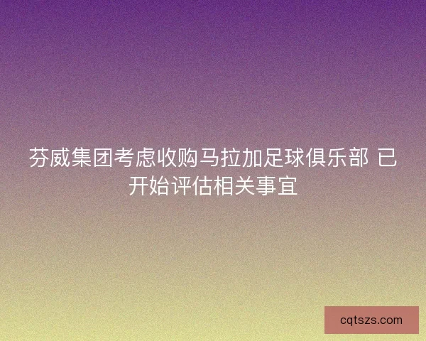 芬威集团考虑收购马拉加足球俱乐部 已开始评估相关事宜 芬威集团考虑收购马拉加足球俱乐部 已开始评估相关事宜